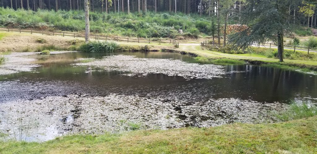 Stage d'Echecs dans le Limousin