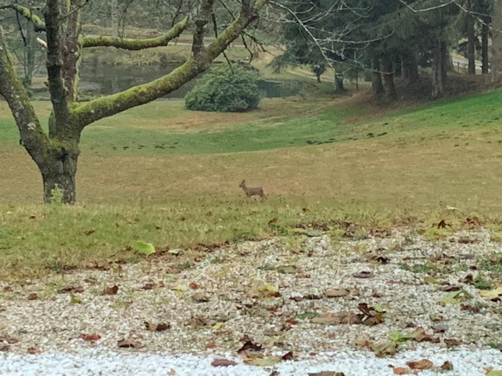 Stage d'Echecs dans le Limousin